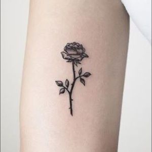 Meet your Posher, Savannah